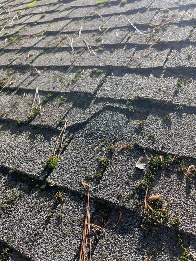 Home Roof Replacement- Old mossy roof