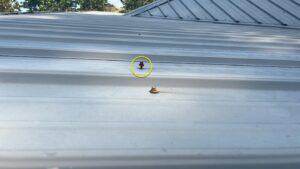 Metal roofs can leak when screws begin backing out.
