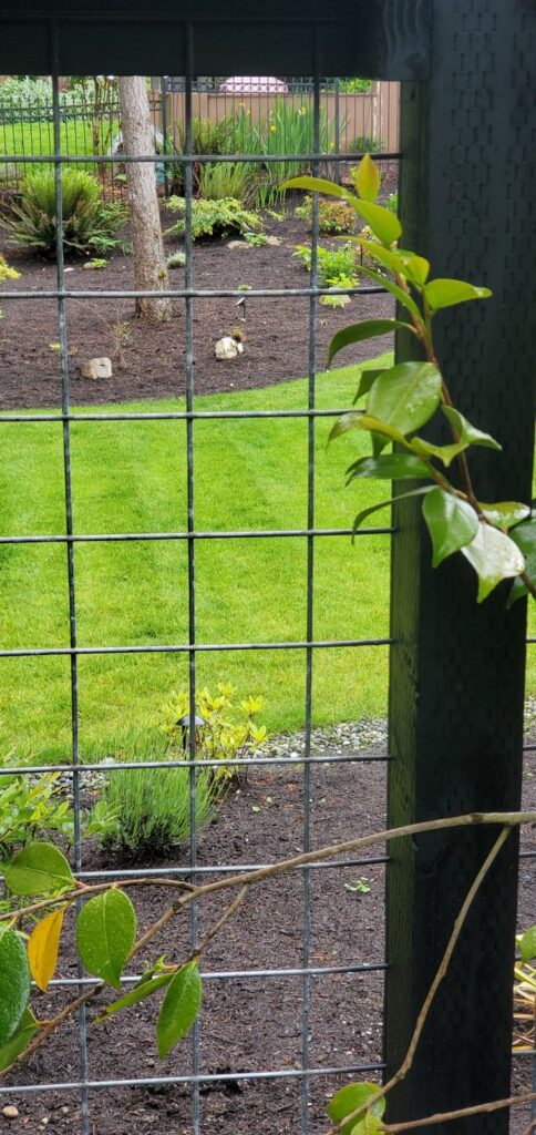 MCSquared Roofing real fence installation project job photo from our Seattle years